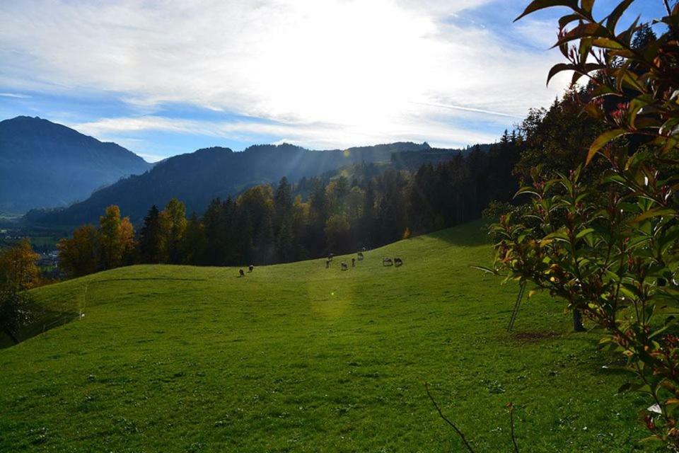 Niederstallnhof Sankt Johann im Pongau Bagian luar foto